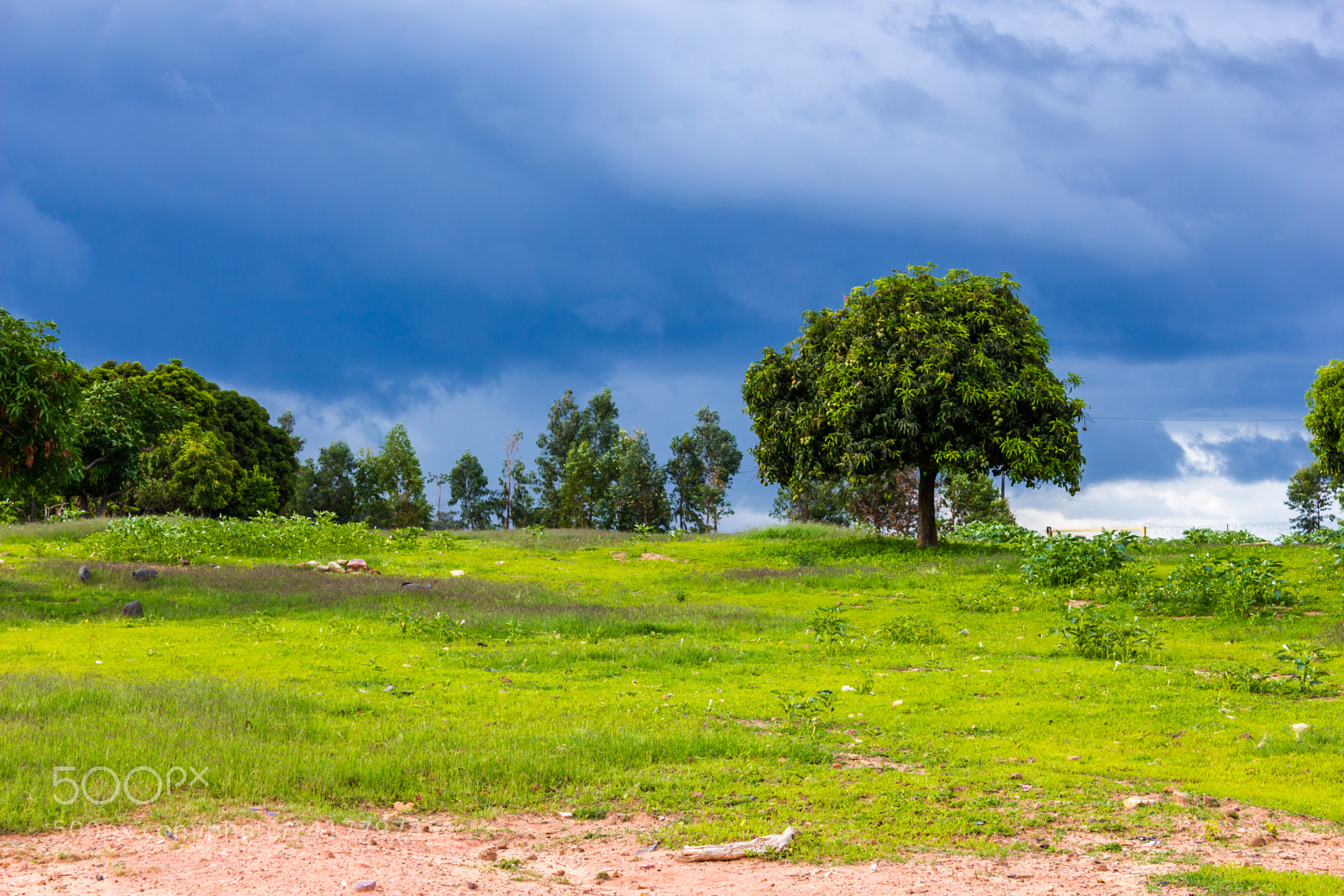 Canon EOS 550D (EOS Rebel T2i / EOS Kiss X4) sample photo. Rain is coming photography