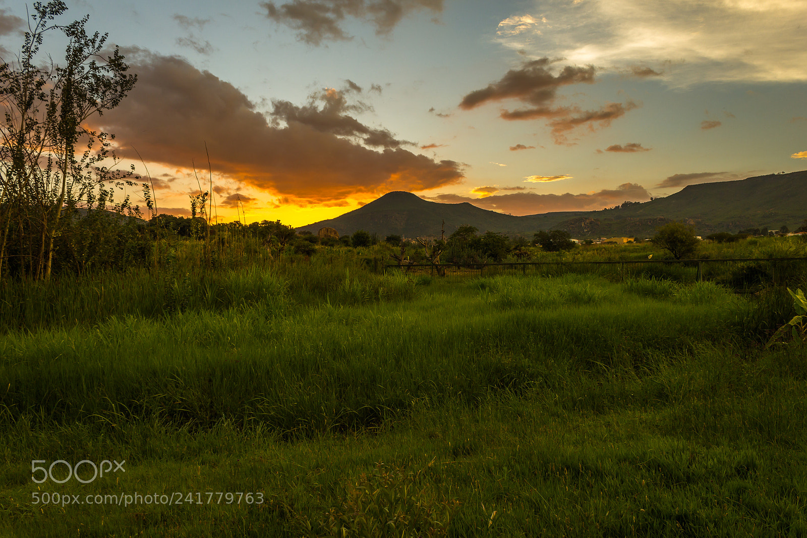 Canon EOS 550D (EOS Rebel T2i / EOS Kiss X4) sample photo. Magical jungle sunset lubango photography
