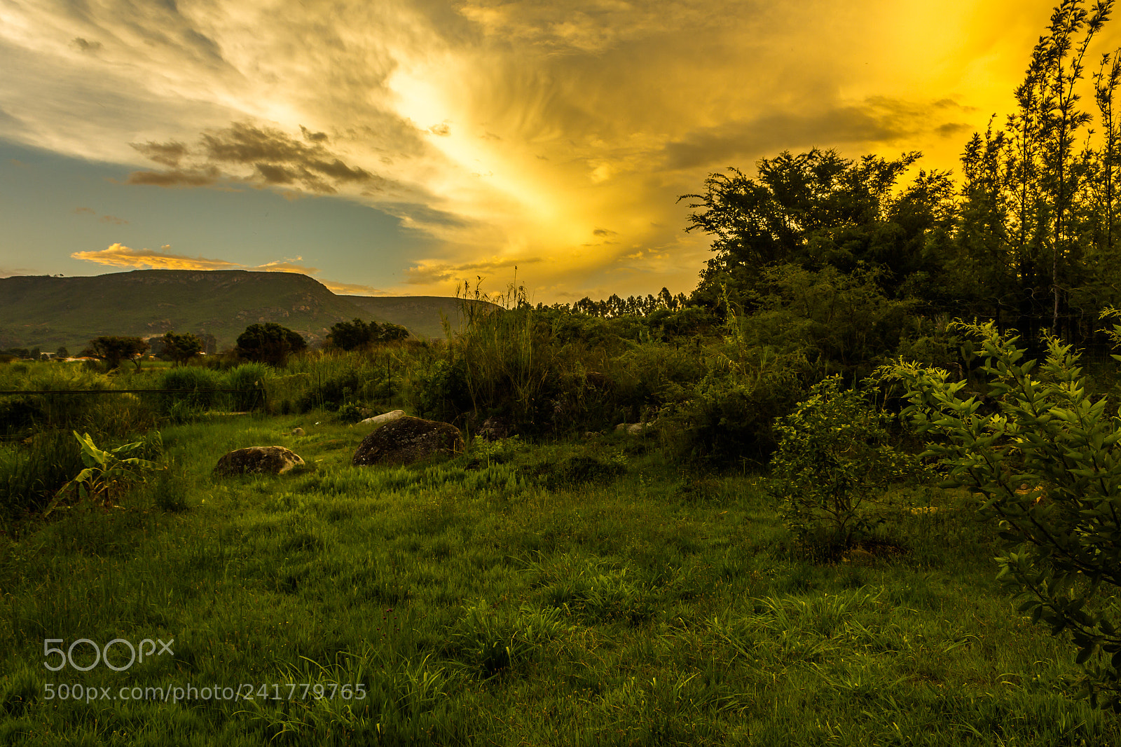 Canon EOS 550D (EOS Rebel T2i / EOS Kiss X4) sample photo. Magical jungle sunset lubango photography