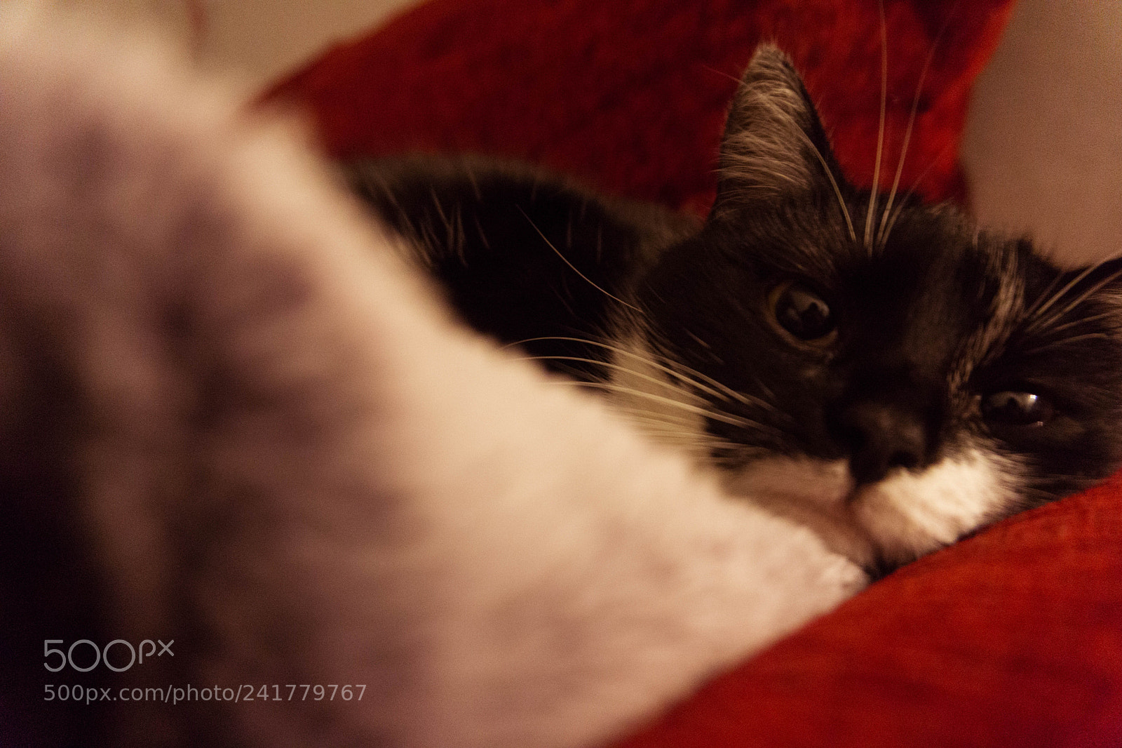 Sony a5100 sample photo. Mija:) photography