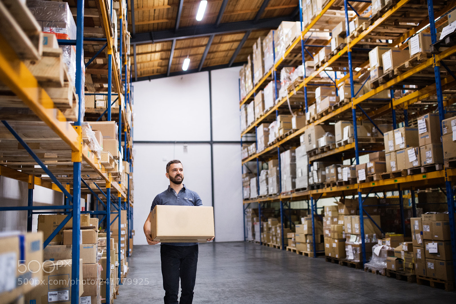 Nikon D5 sample photo. Male warehouse worker with photography