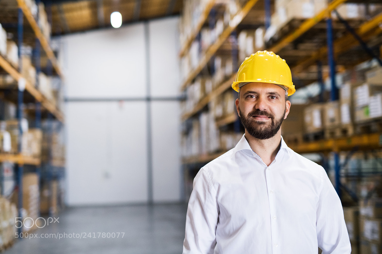 Nikon D5 sample photo. Portrait of a male photography