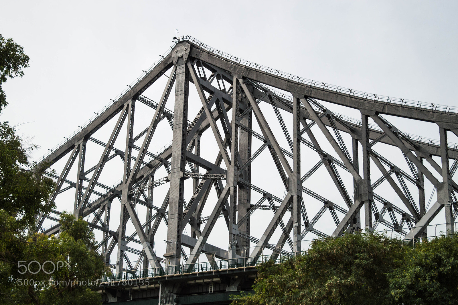 Nikon D3200 sample photo. The bridge photography