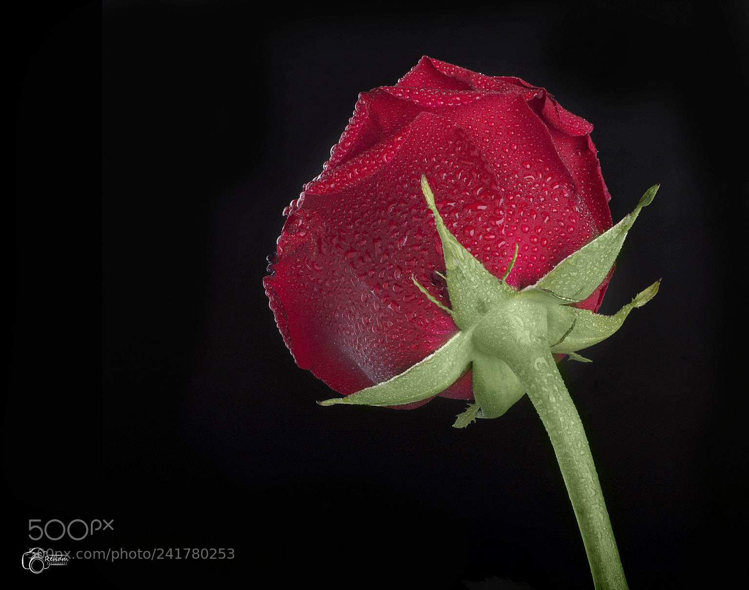 Nikon D3200 sample photo. 0096.jpg photography