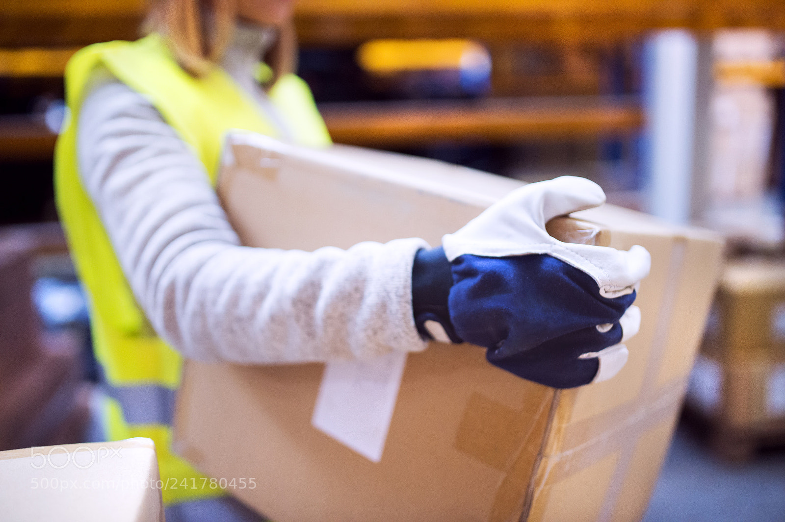 Nikon D4S sample photo. Female warehouse worker loading photography