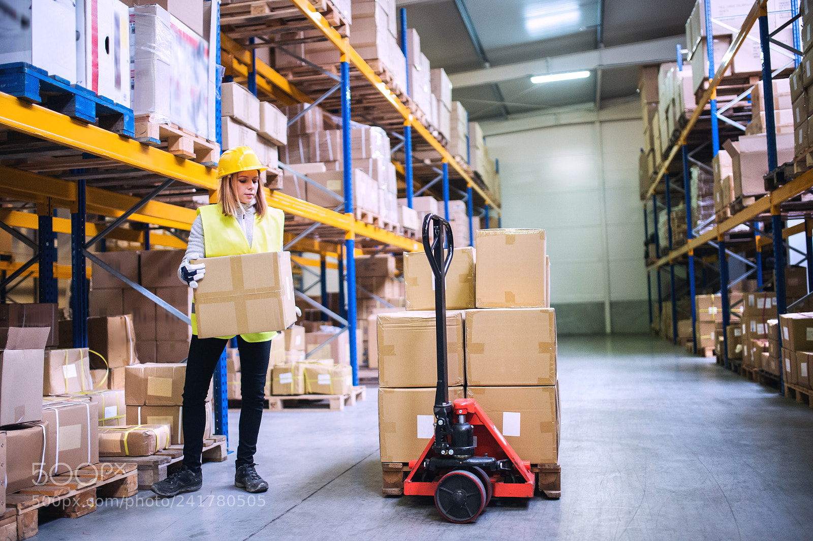 Nikon D4S sample photo. Female warehouse worker loading photography