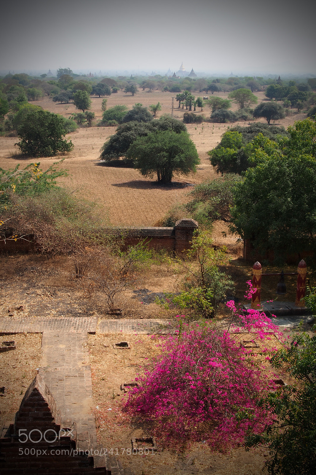 Olympus OM-D E-M5 sample photo. Landscape in bagan photography