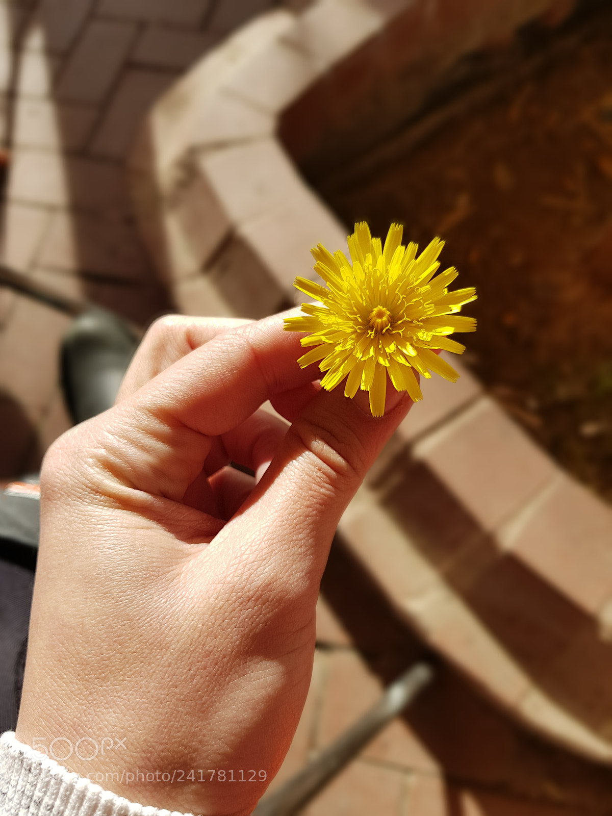 Samsung Galaxy S8 sample photo. Untitled photography