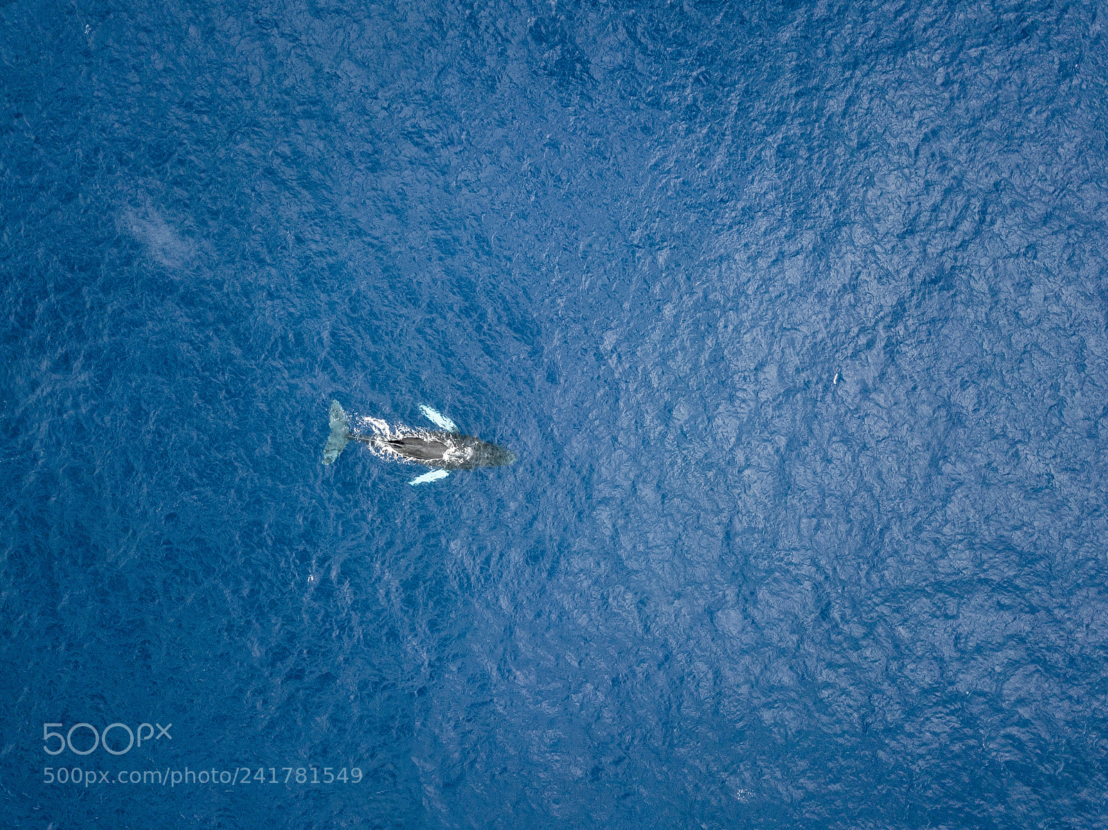 DJI FC220 sample photo. Dji photography