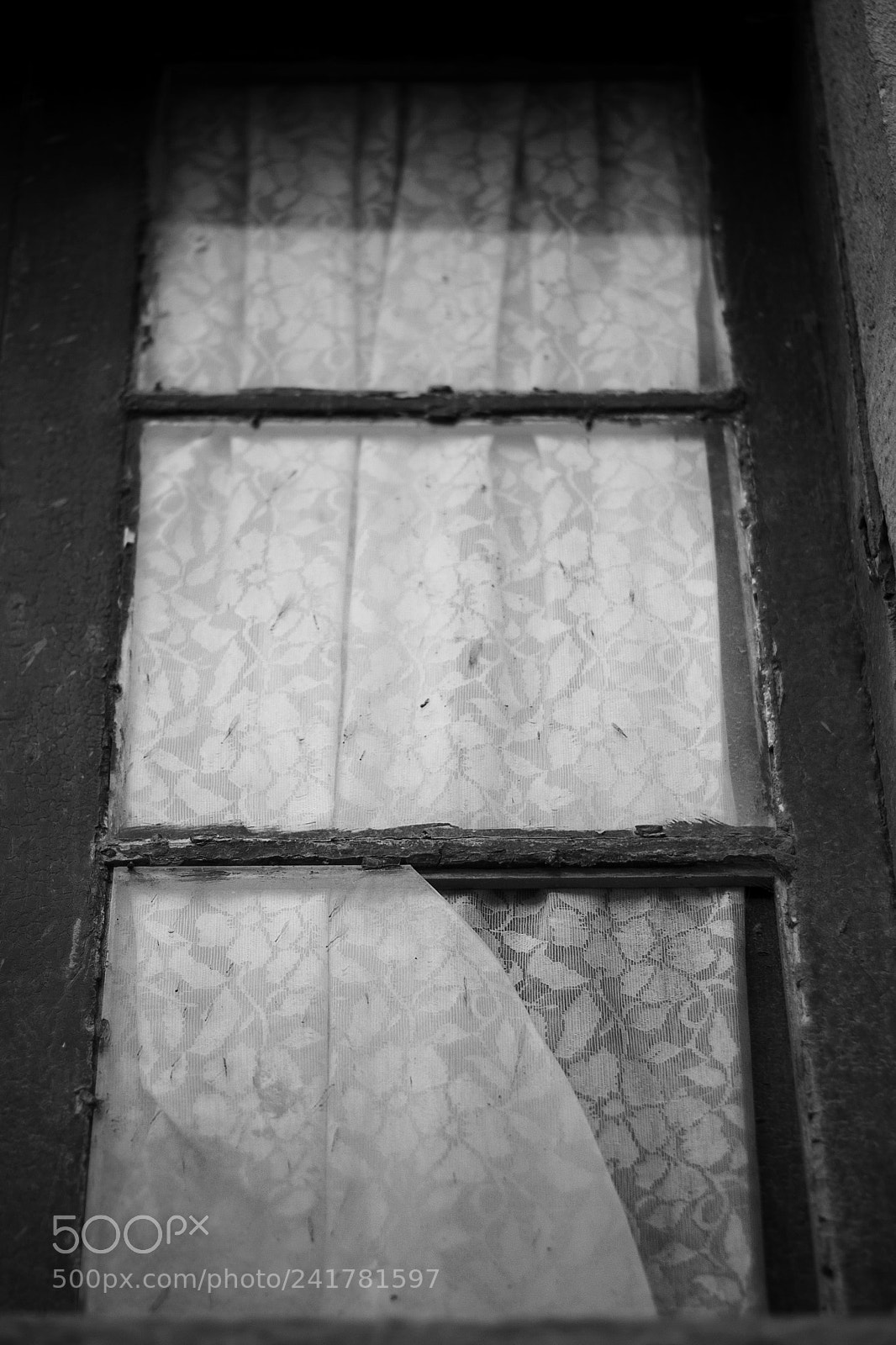Canon EOS 400D (EOS Digital Rebel XTi / EOS Kiss Digital X) sample photo. Broken window photography