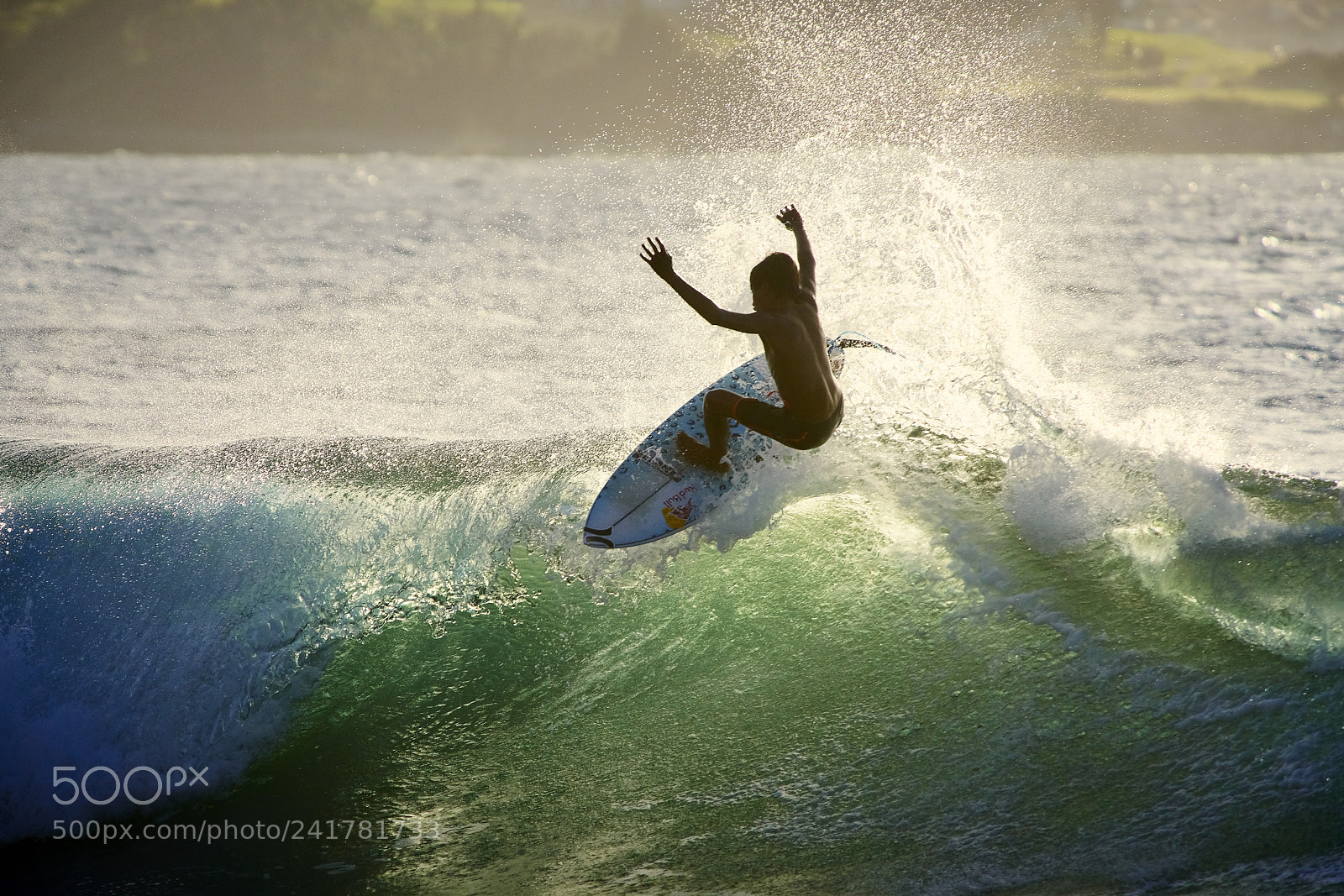 Sony a99 II sample photo. Bronson meydi in hawaii 2017 photography