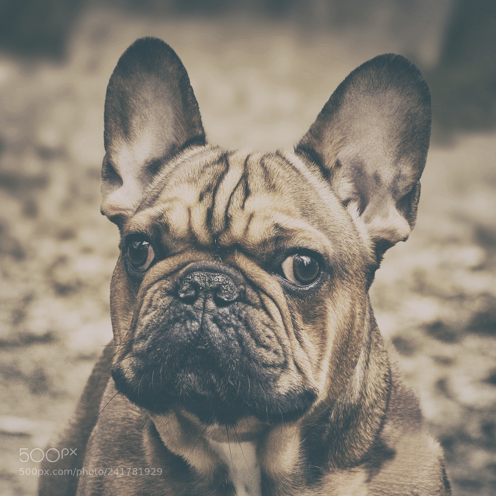 Nikon D3200 sample photo. Untitled photography
