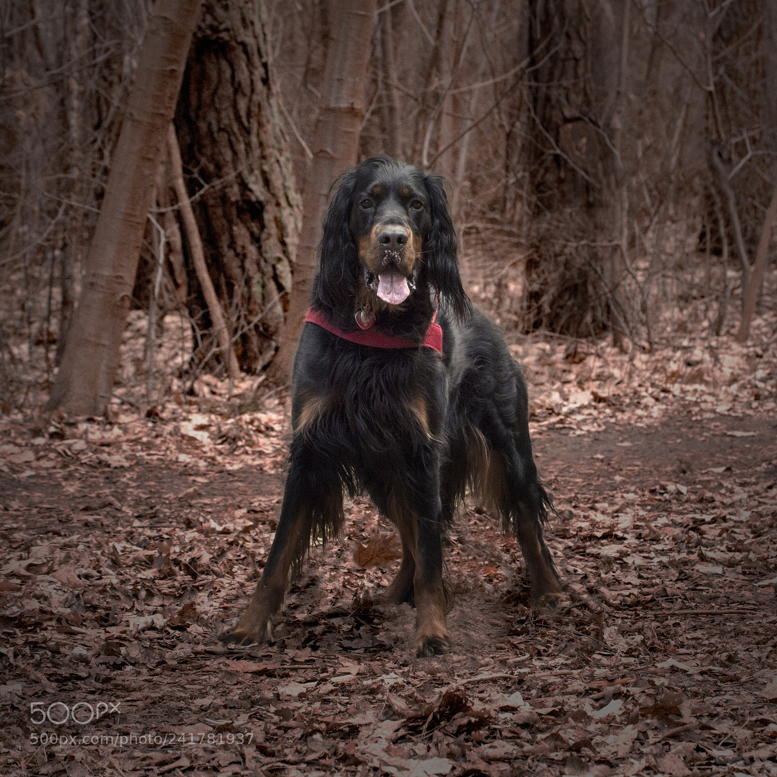 Nikon D3200 sample photo. Happy photography