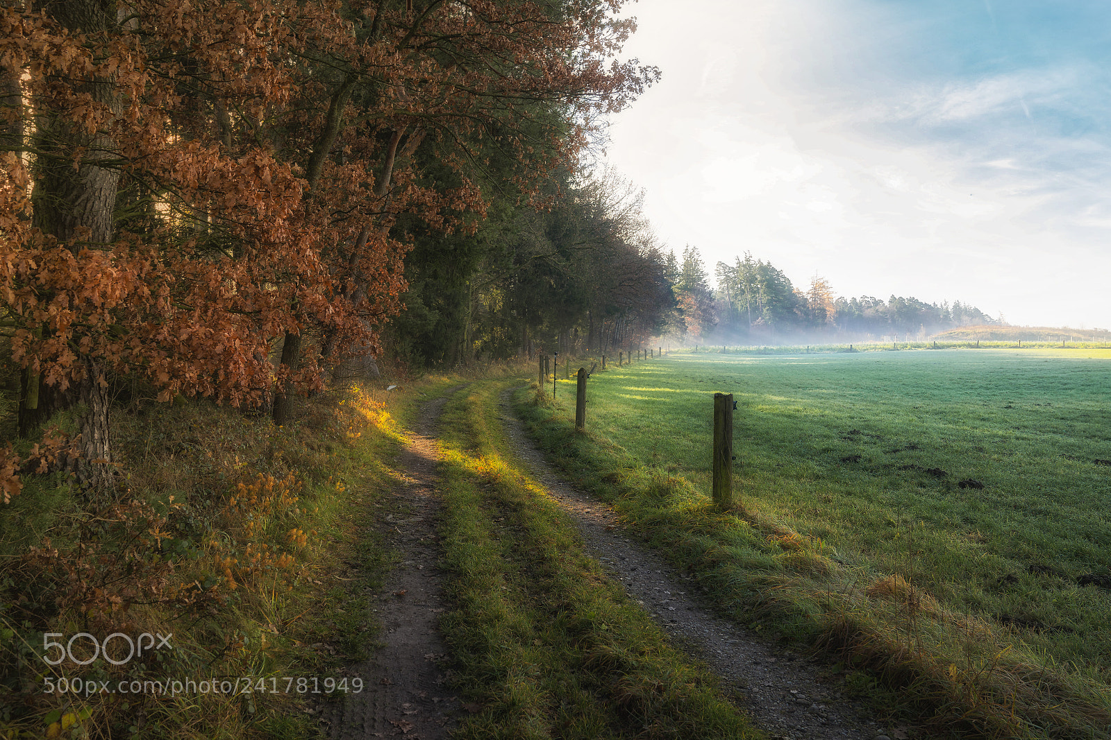 Sony a7 II sample photo. Supermorning photography