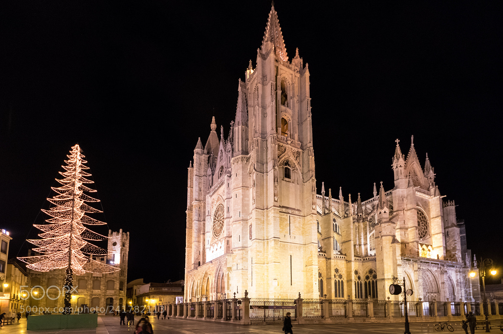 Pentax K-3 II sample photo. End of christmas photography