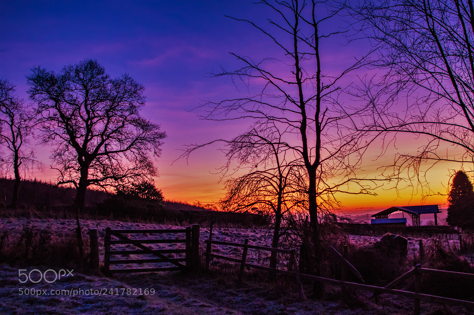 Pentax K-3 sample photo. Gate sunrise photography