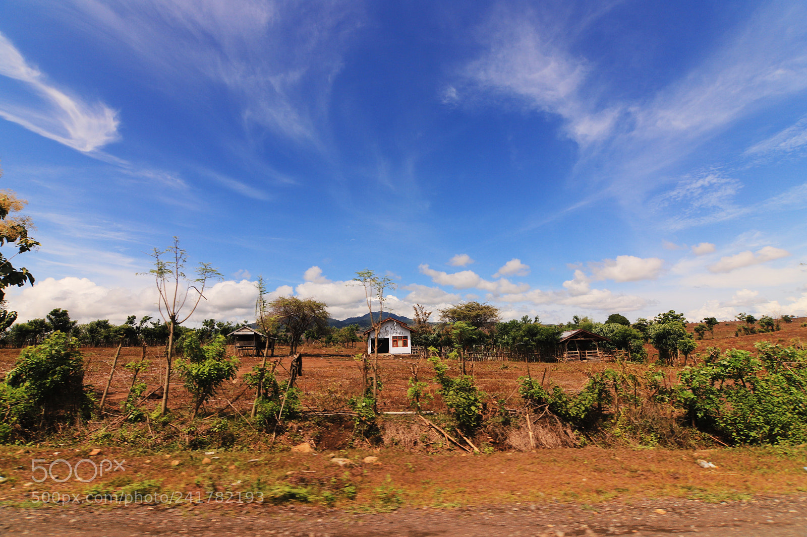 Canon EOS 6D Mark II sample photo. Ntb photography