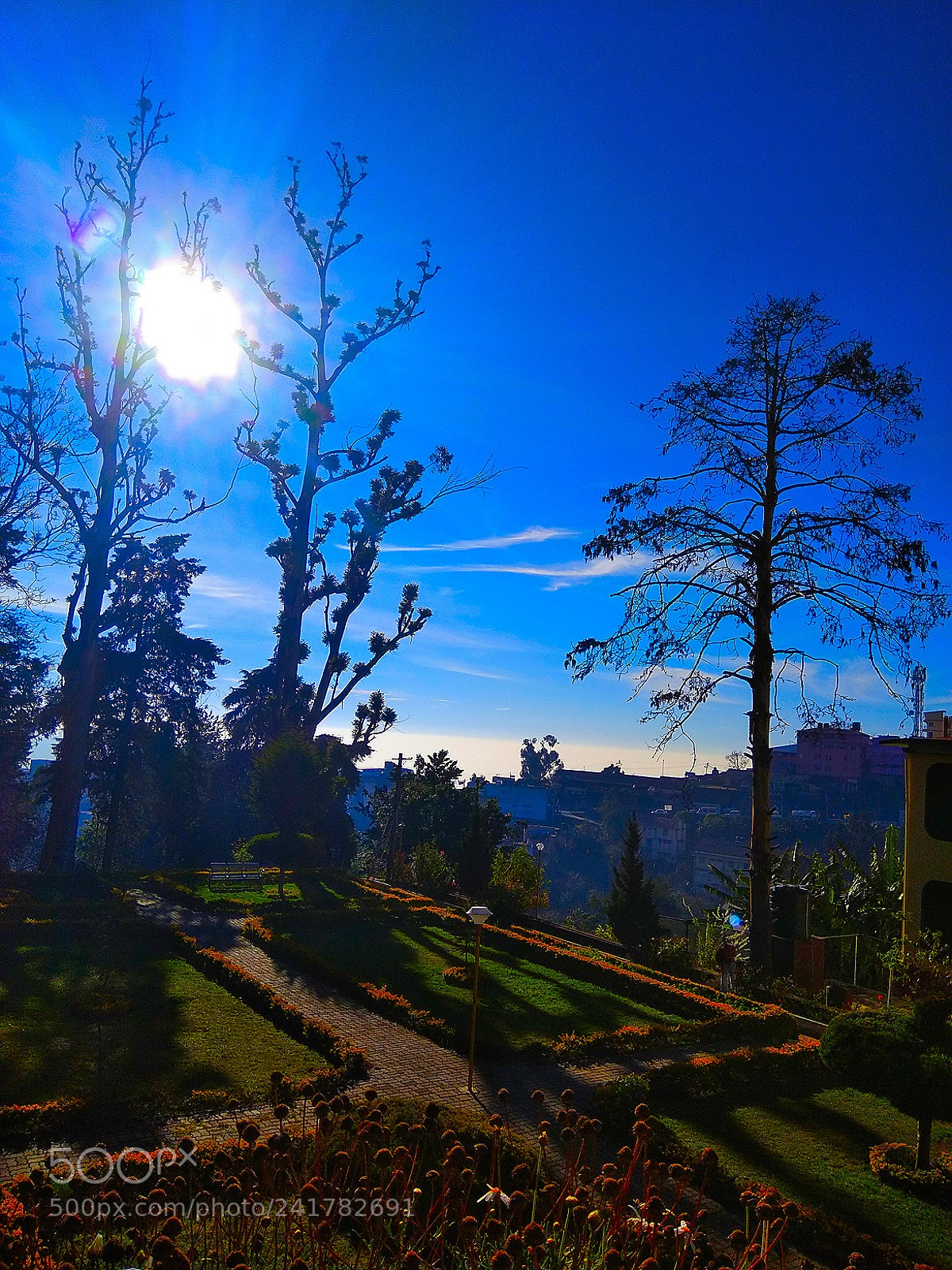 Xiaomi Redmi Note 4 sample photo. Sky is the limit.. photography