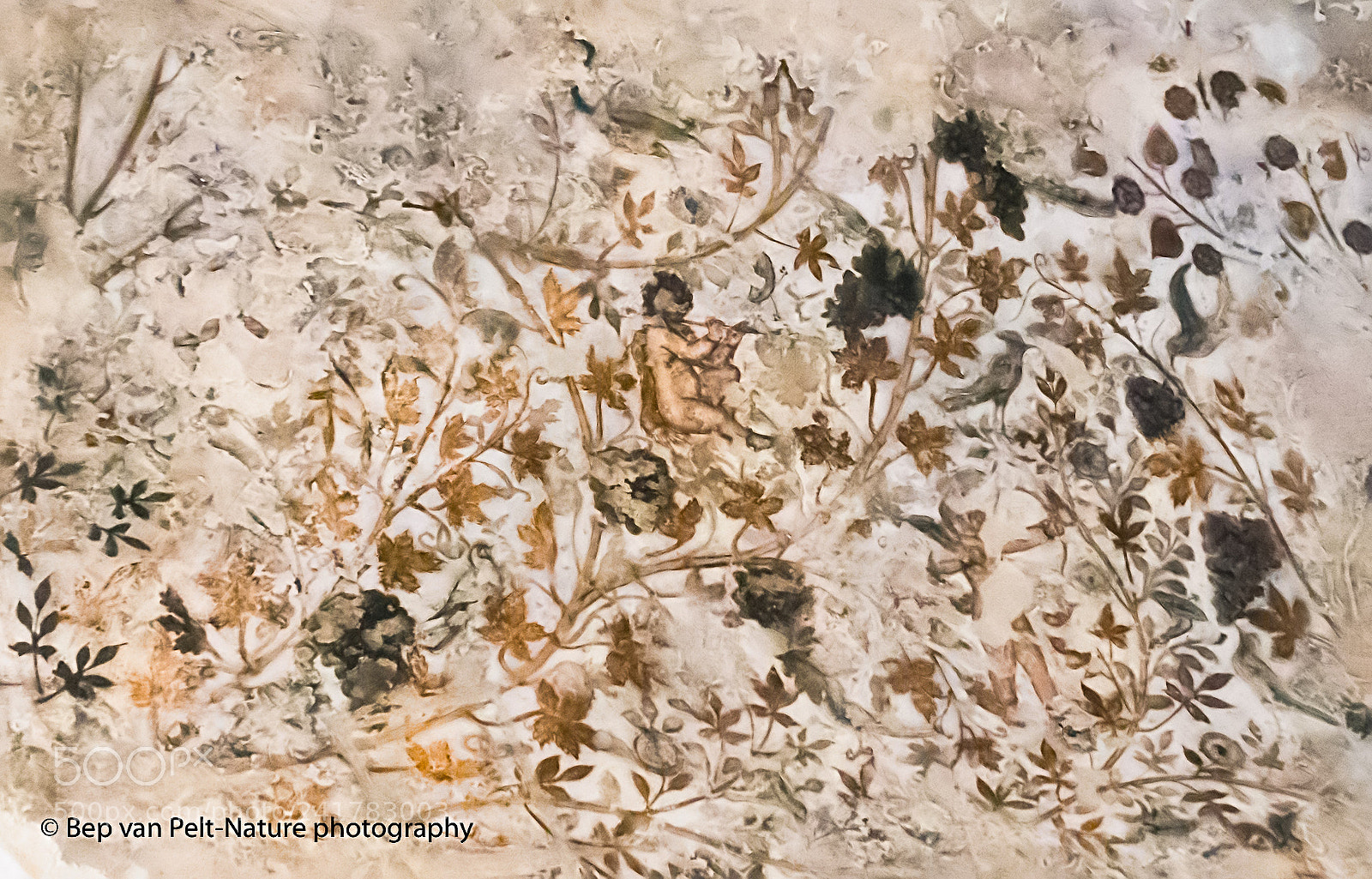 Nikon D500 sample photo. Flute player and birds photography