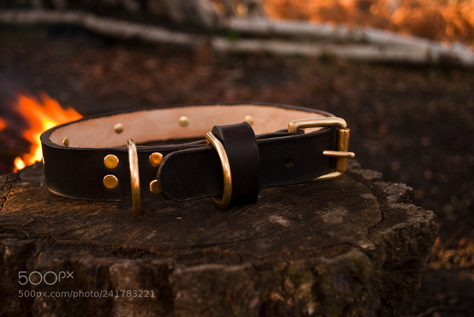 Nikon D3000 sample photo. Nikki's collar (veg tan) photography