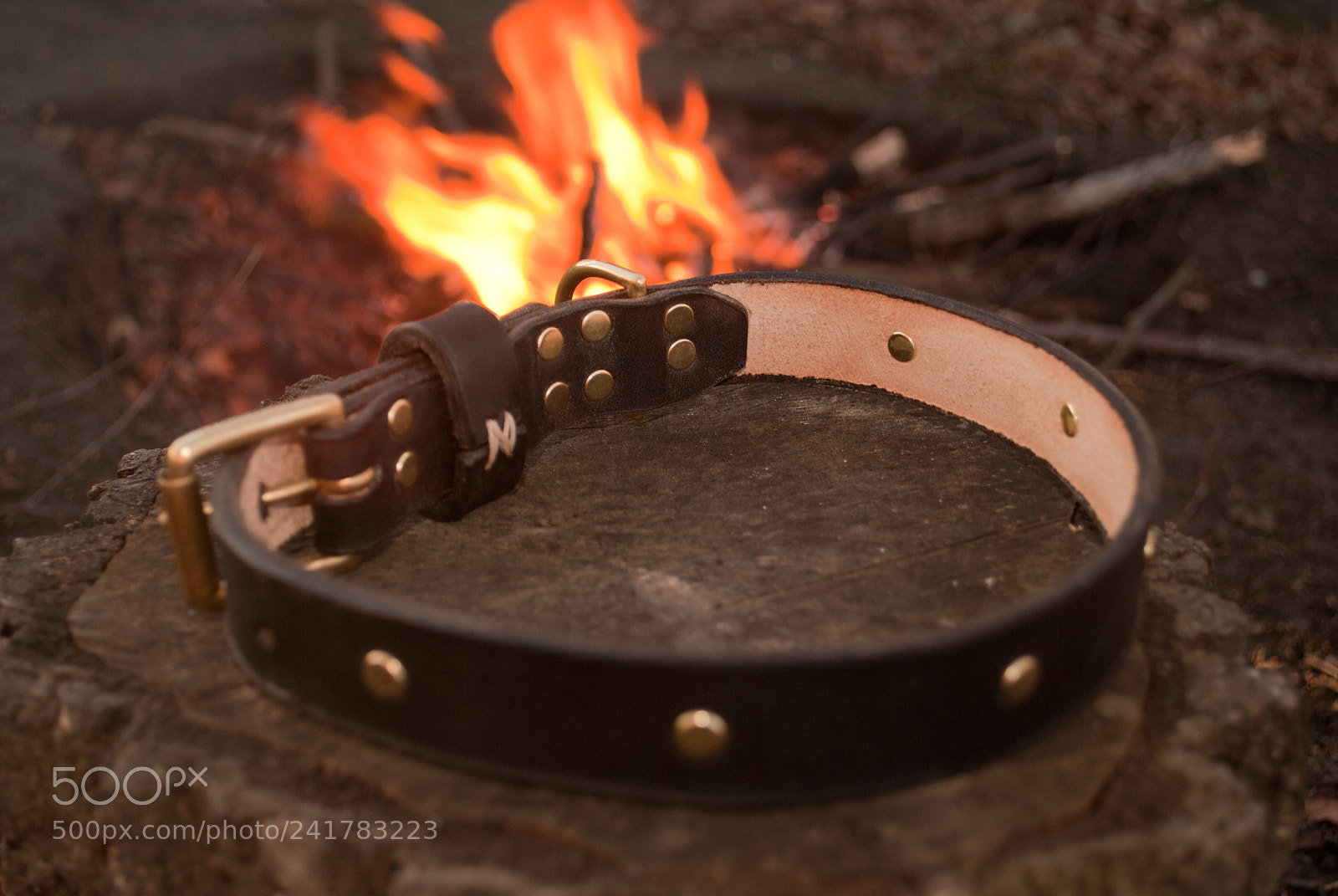 Nikon D3000 sample photo. Collar #4 photography