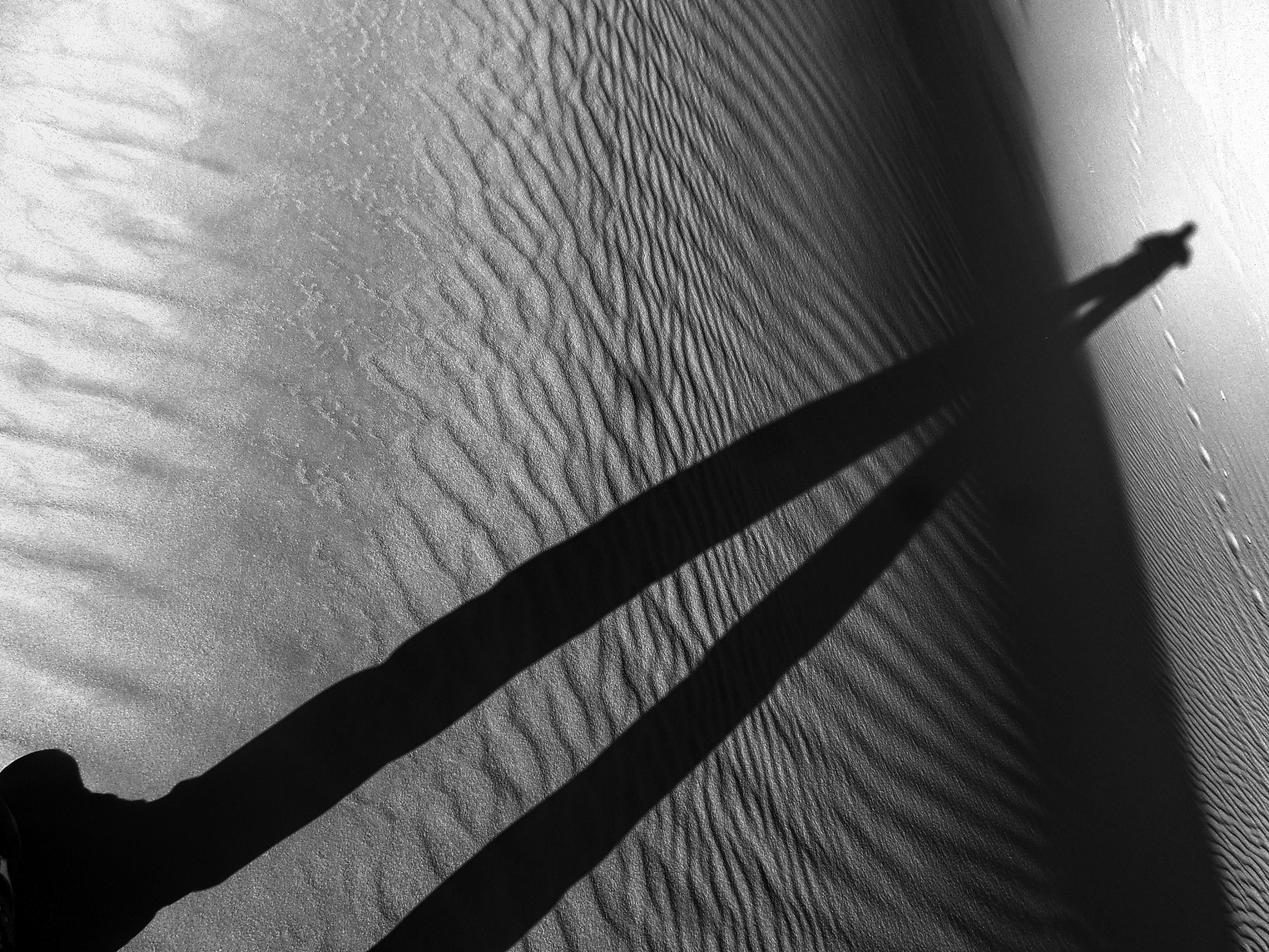 Samsung DV150F/DV151F/DV155F sample photo. Stealing the shadow photography