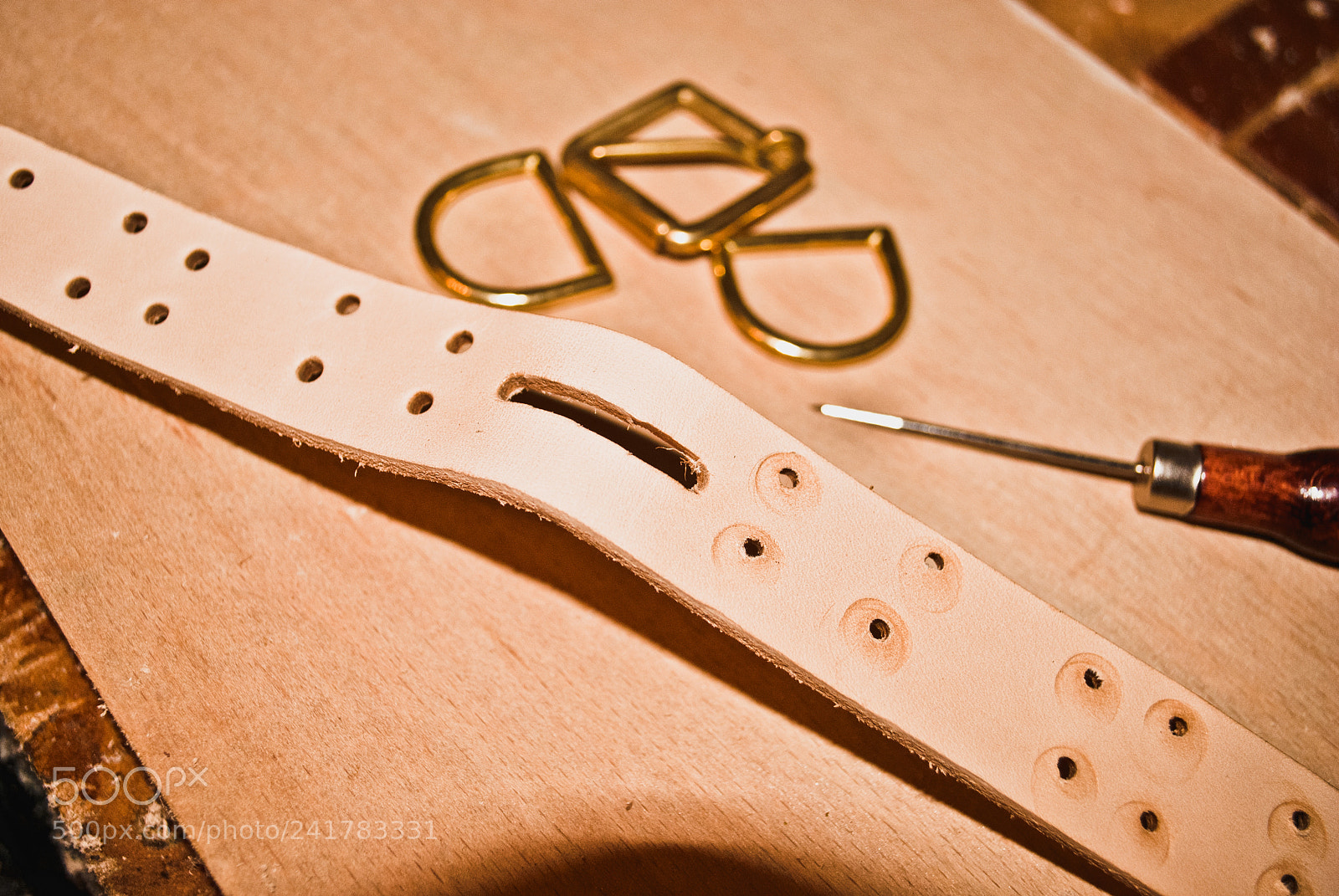 Nikon D3000 sample photo. Collar punched out photography