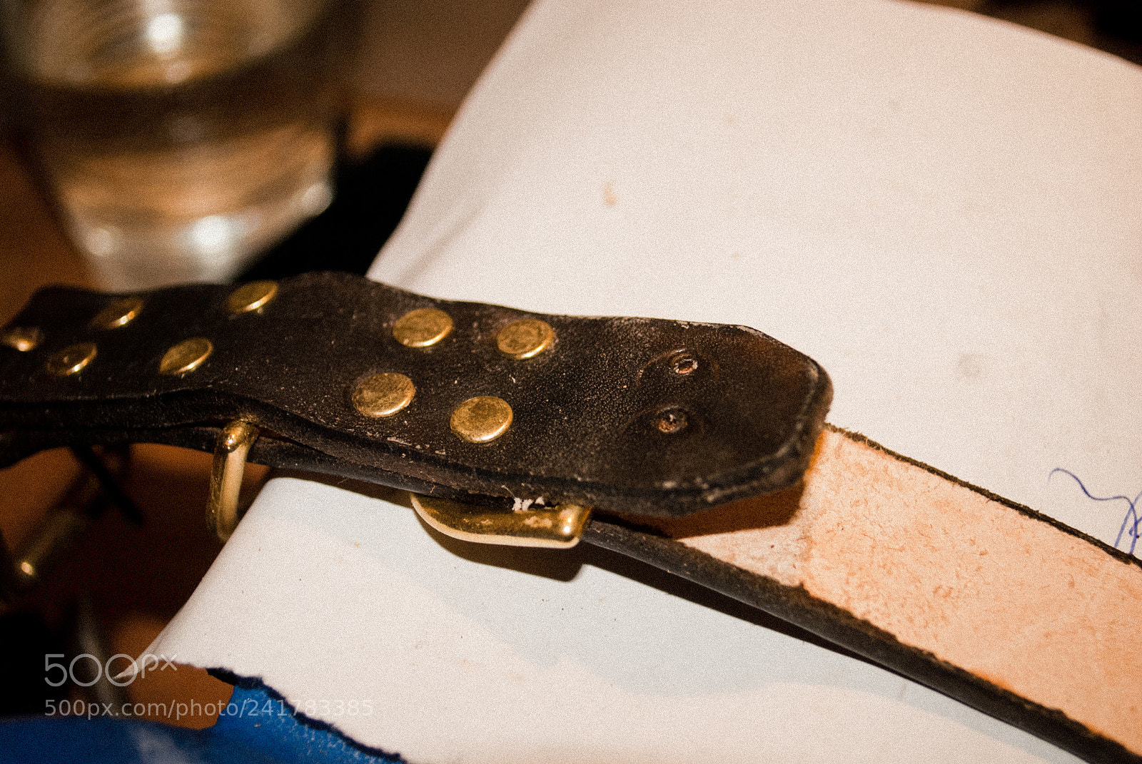 Nikon D3000 sample photo. Collar hardware photography