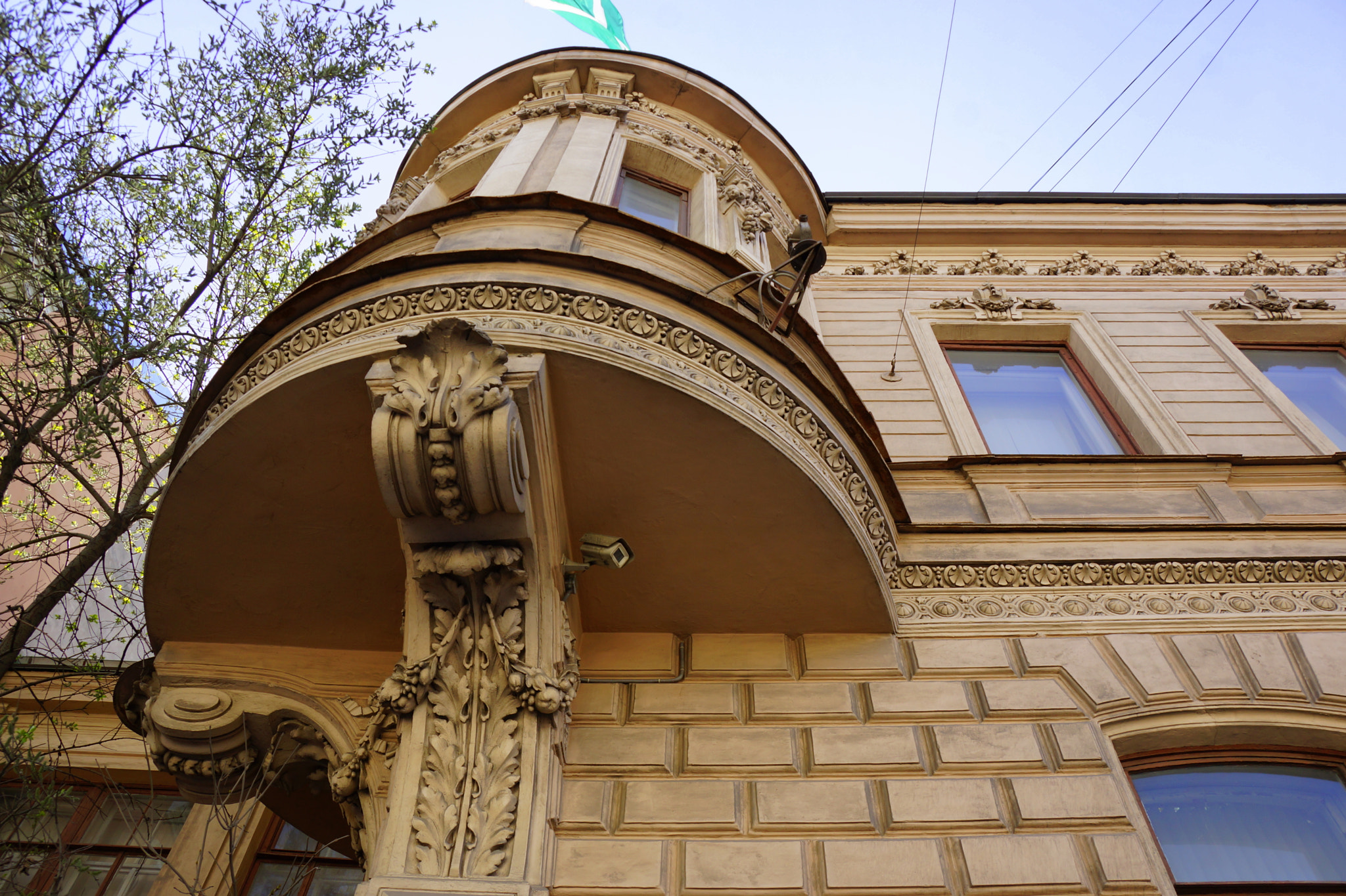 Sony DT 18-250mm F3.5-6.3 sample photo. Dsc photography