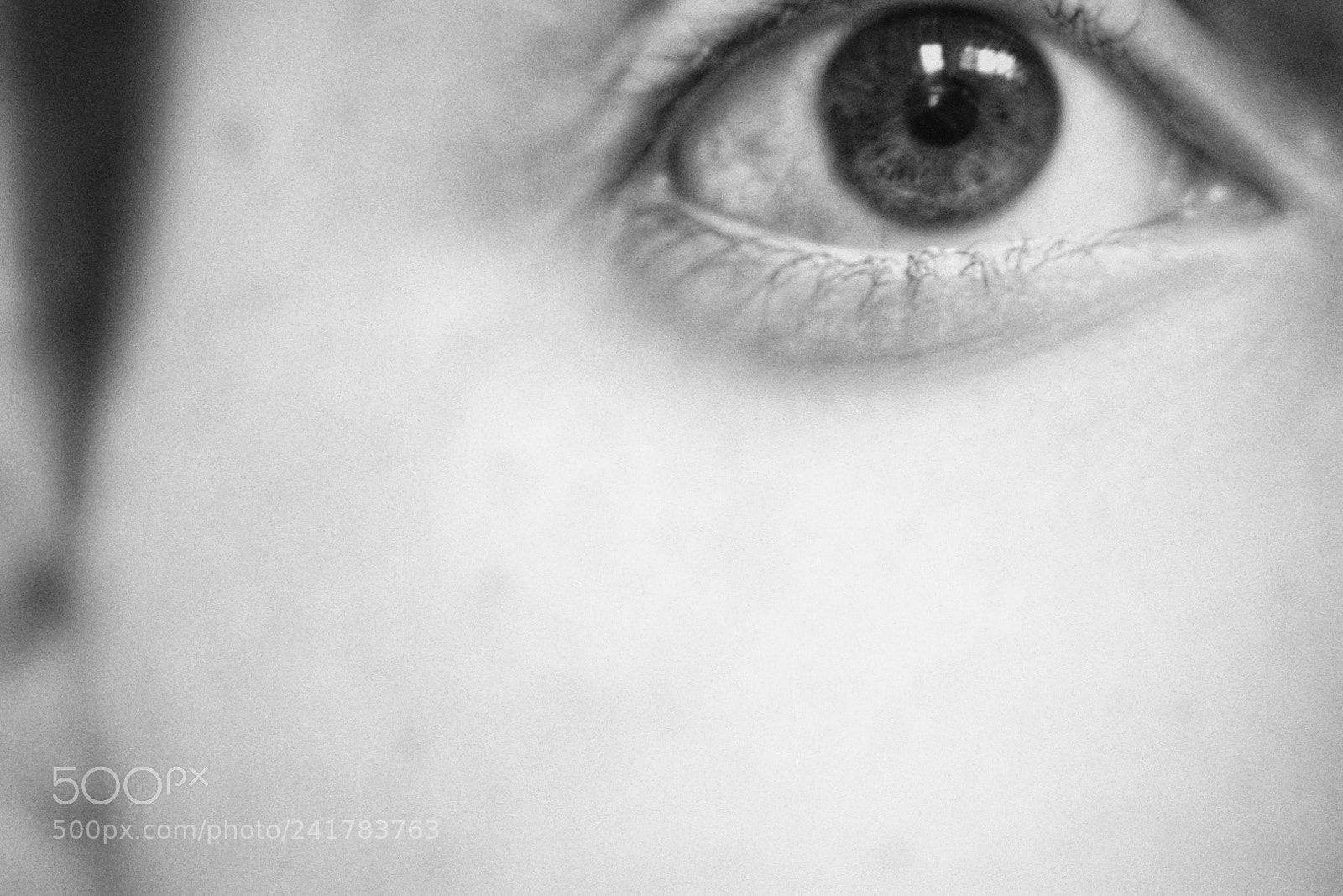 Nikon D5600 sample photo. Untitled photography