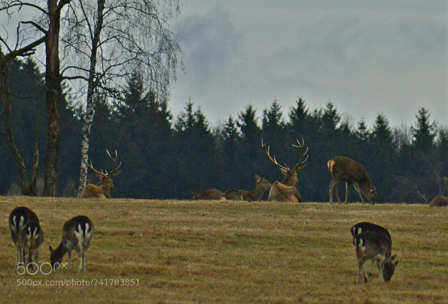 Nikon D3200 sample photo. Untitled photography