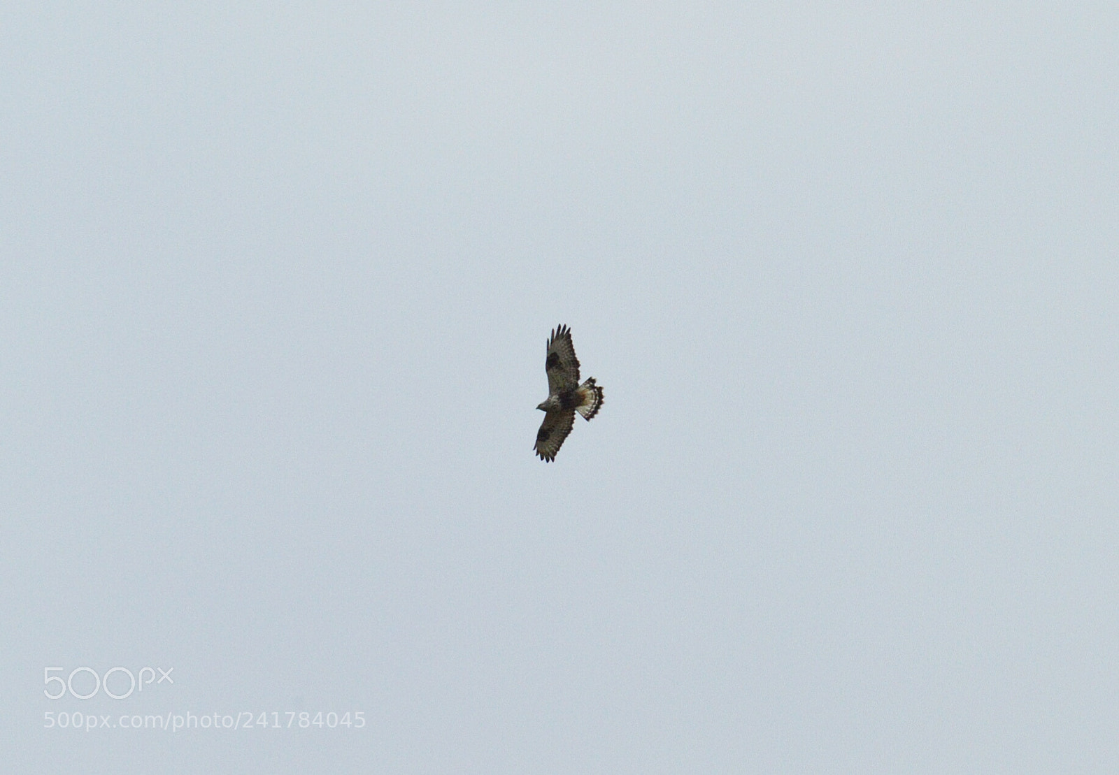 Nikon D3200 sample photo. Untitled photography