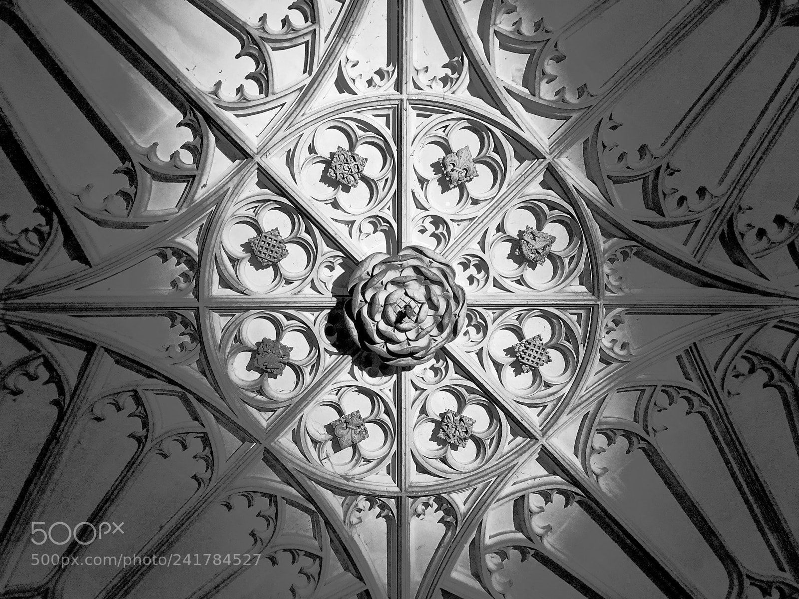 Apple iPhone 8 Plus sample photo. Img photography
