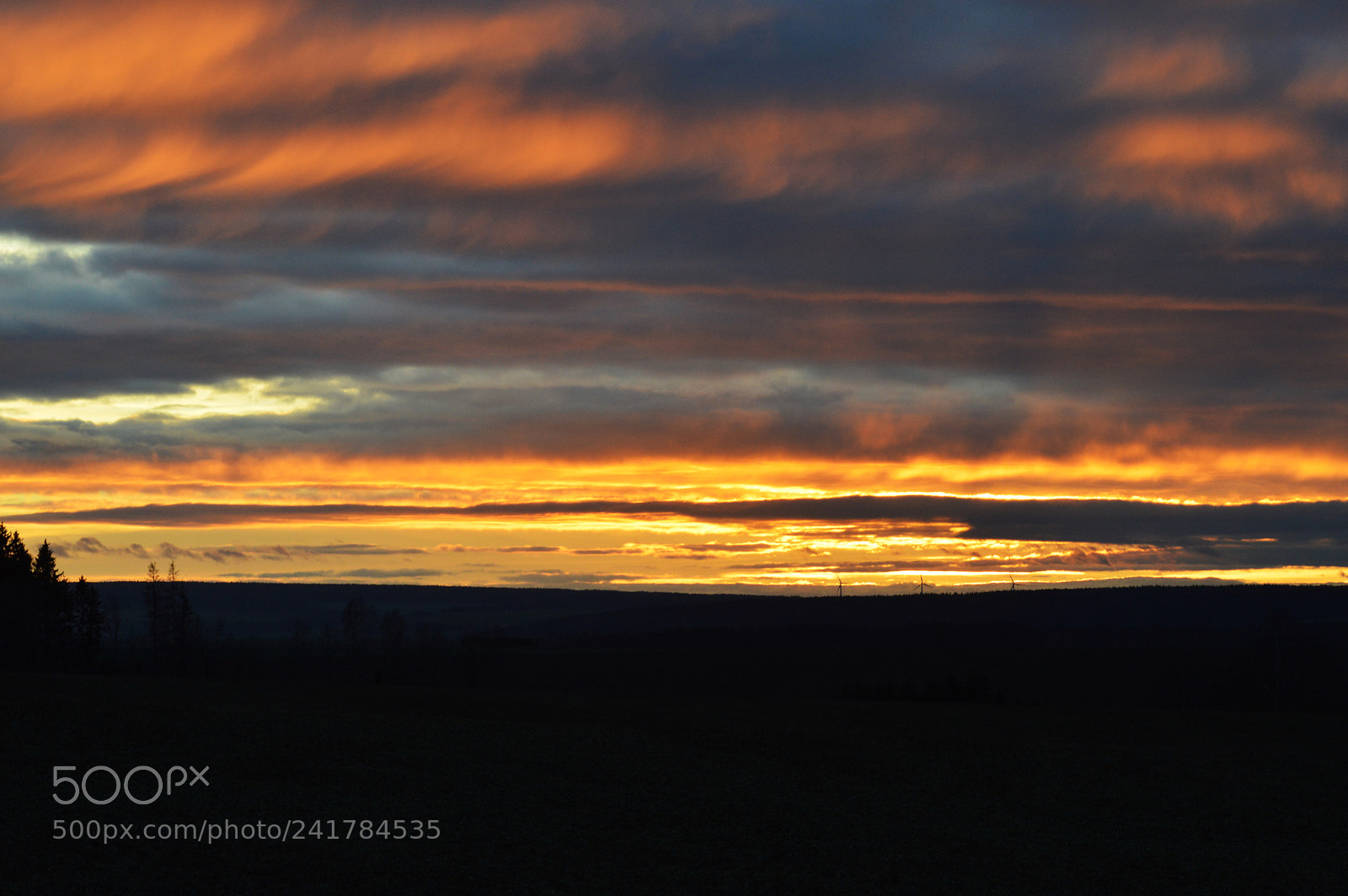 Nikon D3200 sample photo. Untitled photography