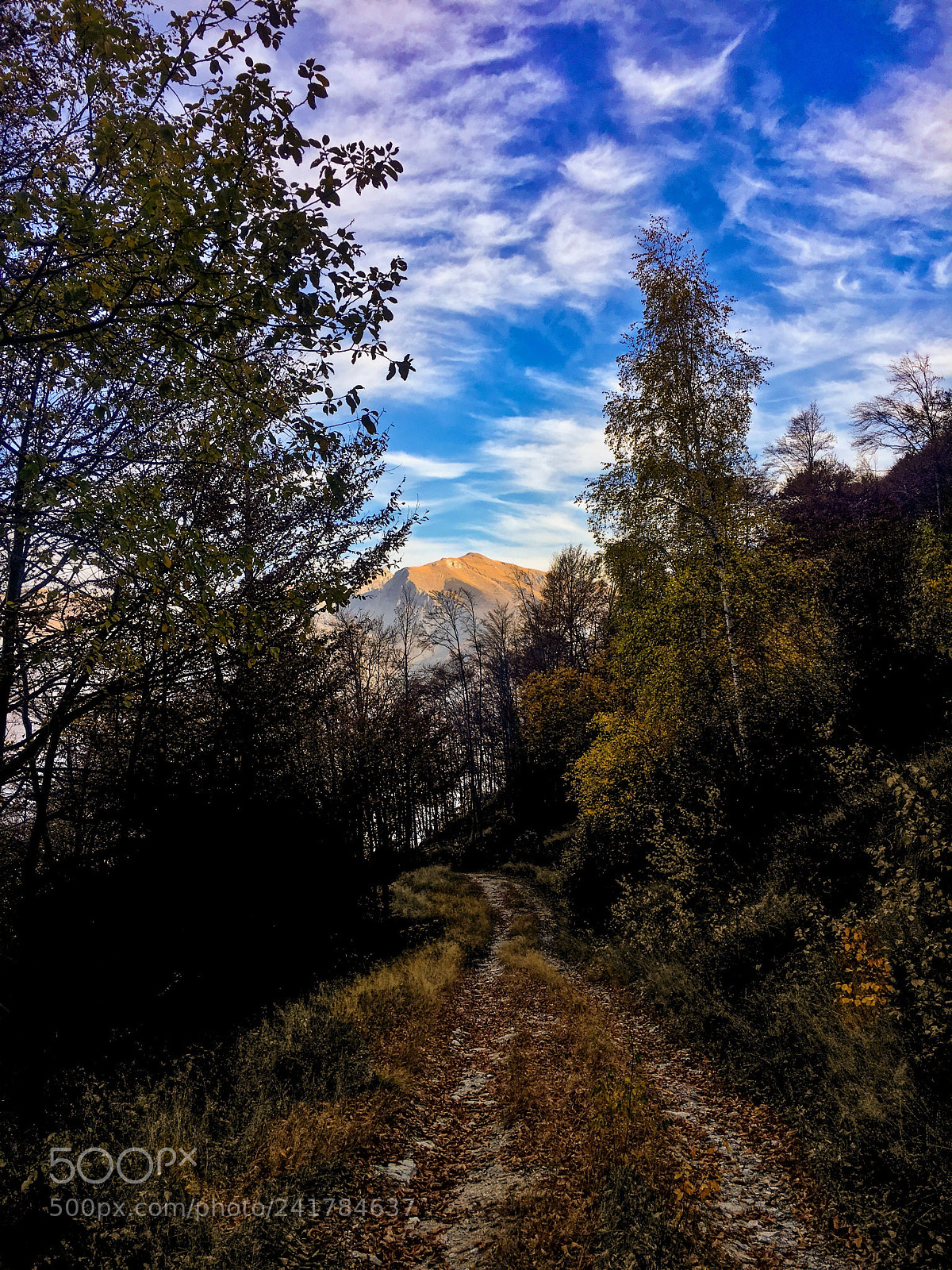 Apple iPhone 6s sample photo. Idyllic photography