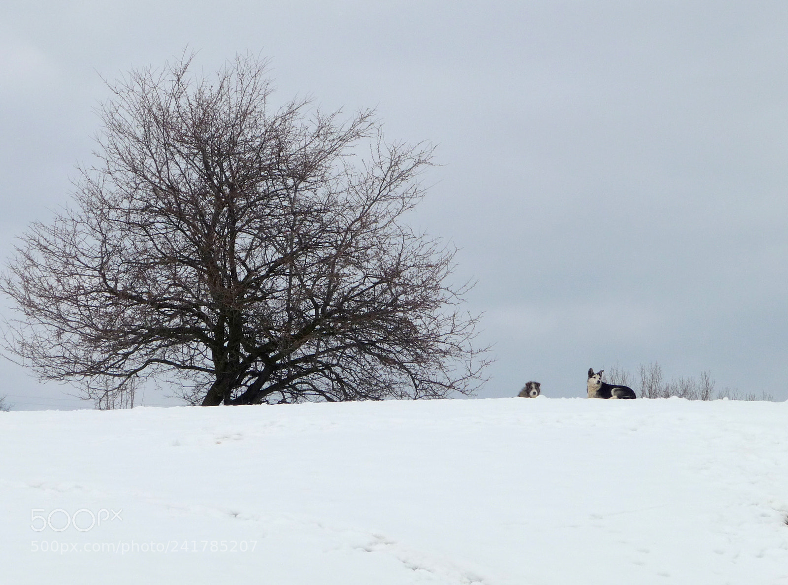 Panasonic Lumix DMC-TZ5 sample photo. * photography
