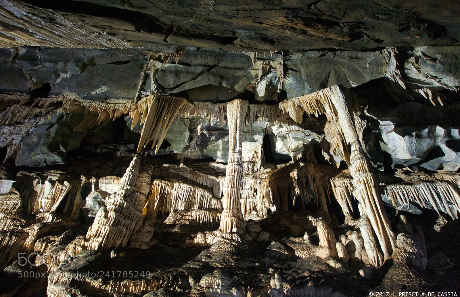 Nikon D700 sample photo. Formation photography