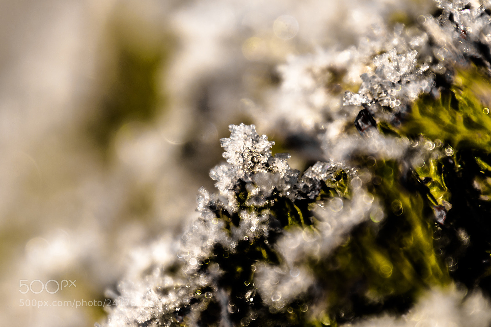 Nikon D3100 sample photo. Winterday 2018 photography