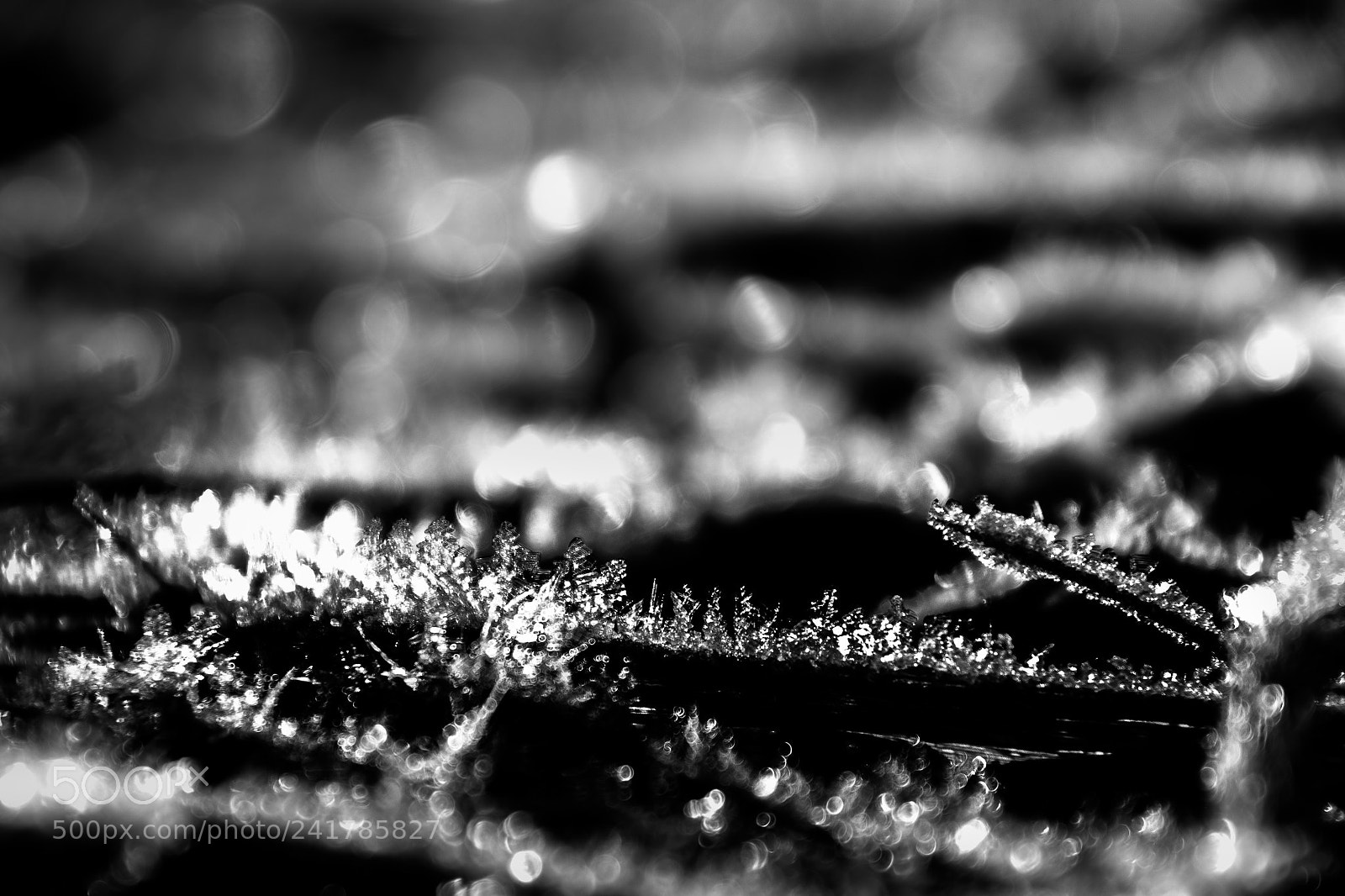Nikon D3100 sample photo. Cold day photography