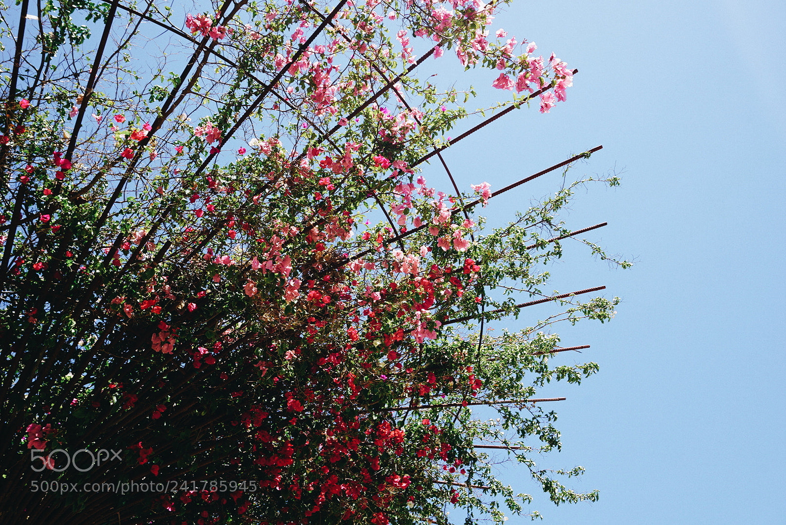 Sony a5100 sample photo. Angles photography