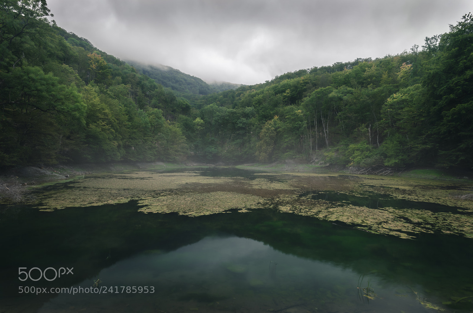 Sony a7 II sample photo. Sipovics tarn photography