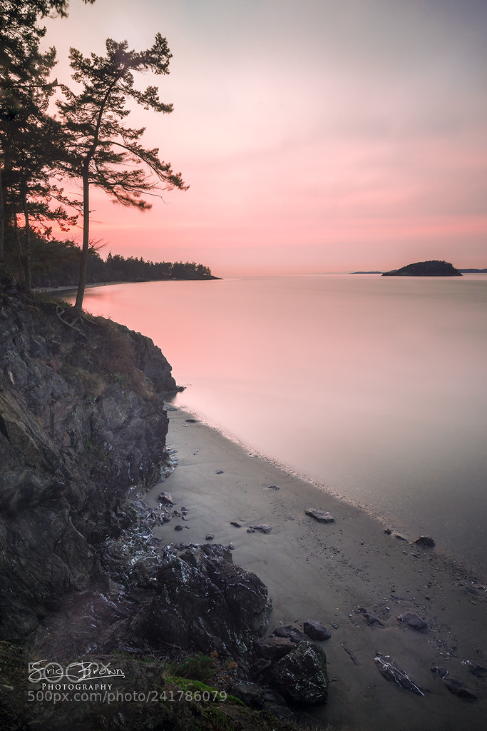 Sony a7 II sample photo. Tranquility photography