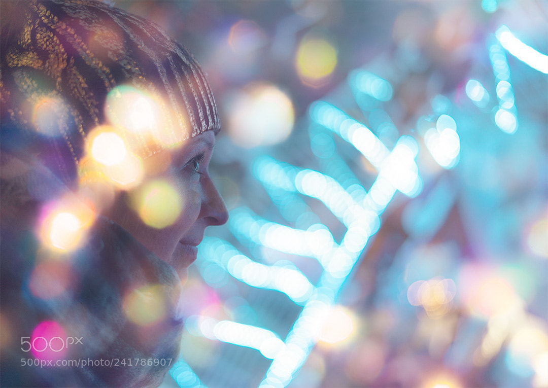 Sony a7 II sample photo. Christmaslights photography