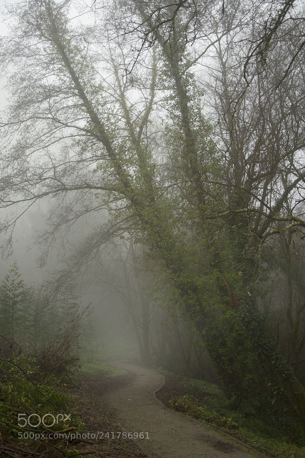 Nikon D3100 sample photo. Untitled photography