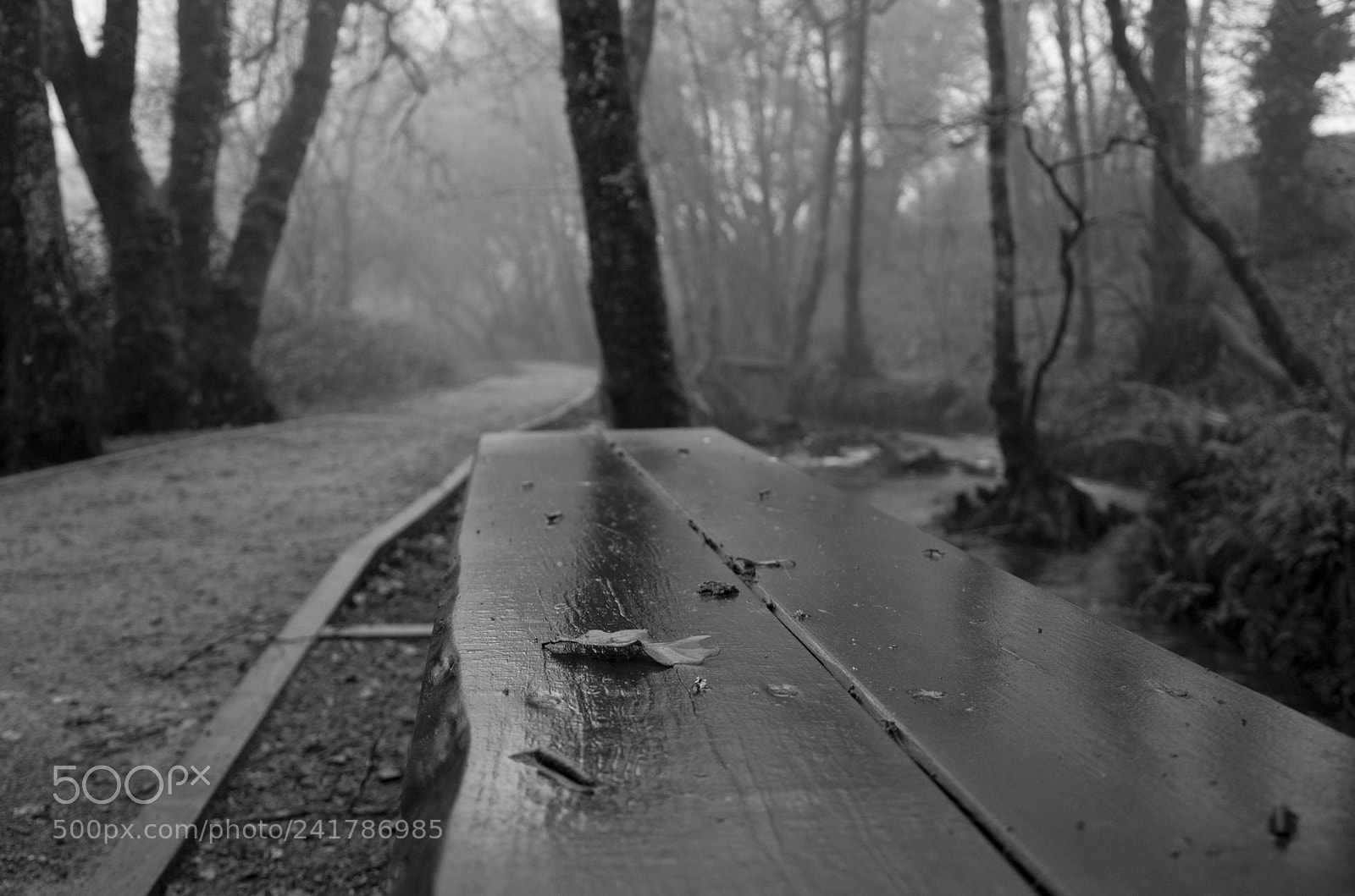 Nikon D3100 sample photo. Untitled photography