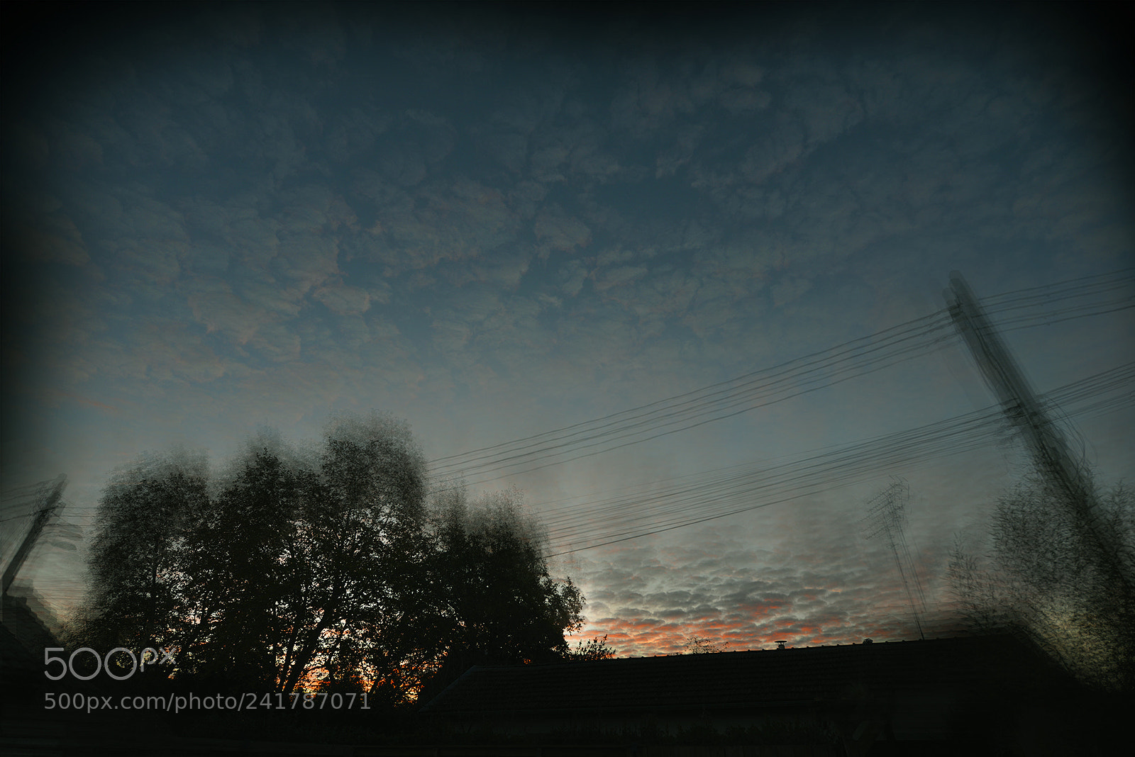 Nikon D800 sample photo. Derriere le platane photography