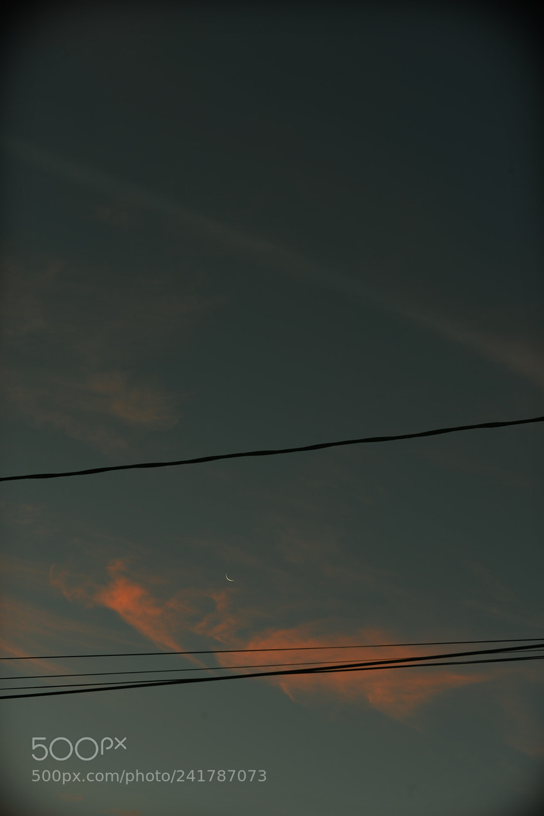 Nikon D800 sample photo. A cloud and a photography