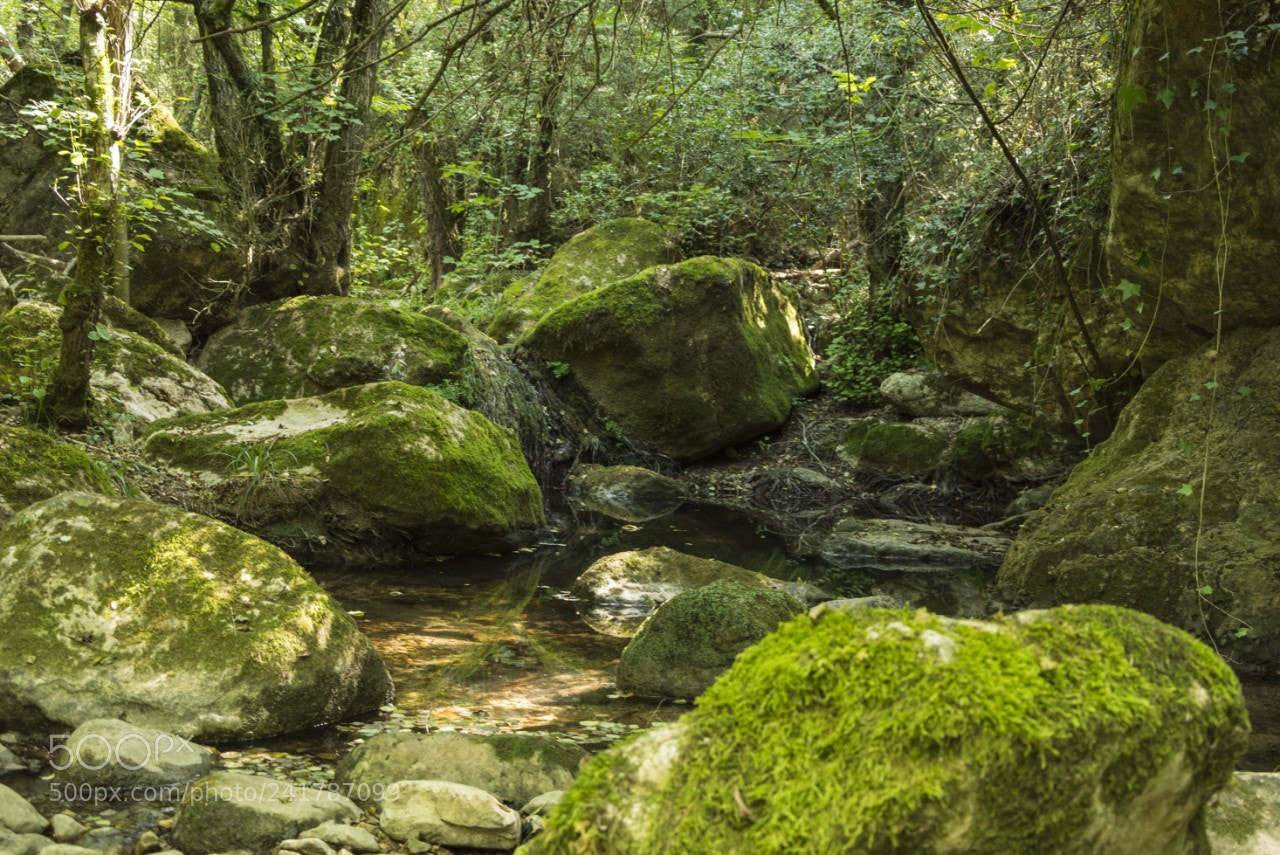 Nikon D7200 sample photo. Aiguafreda3 photography