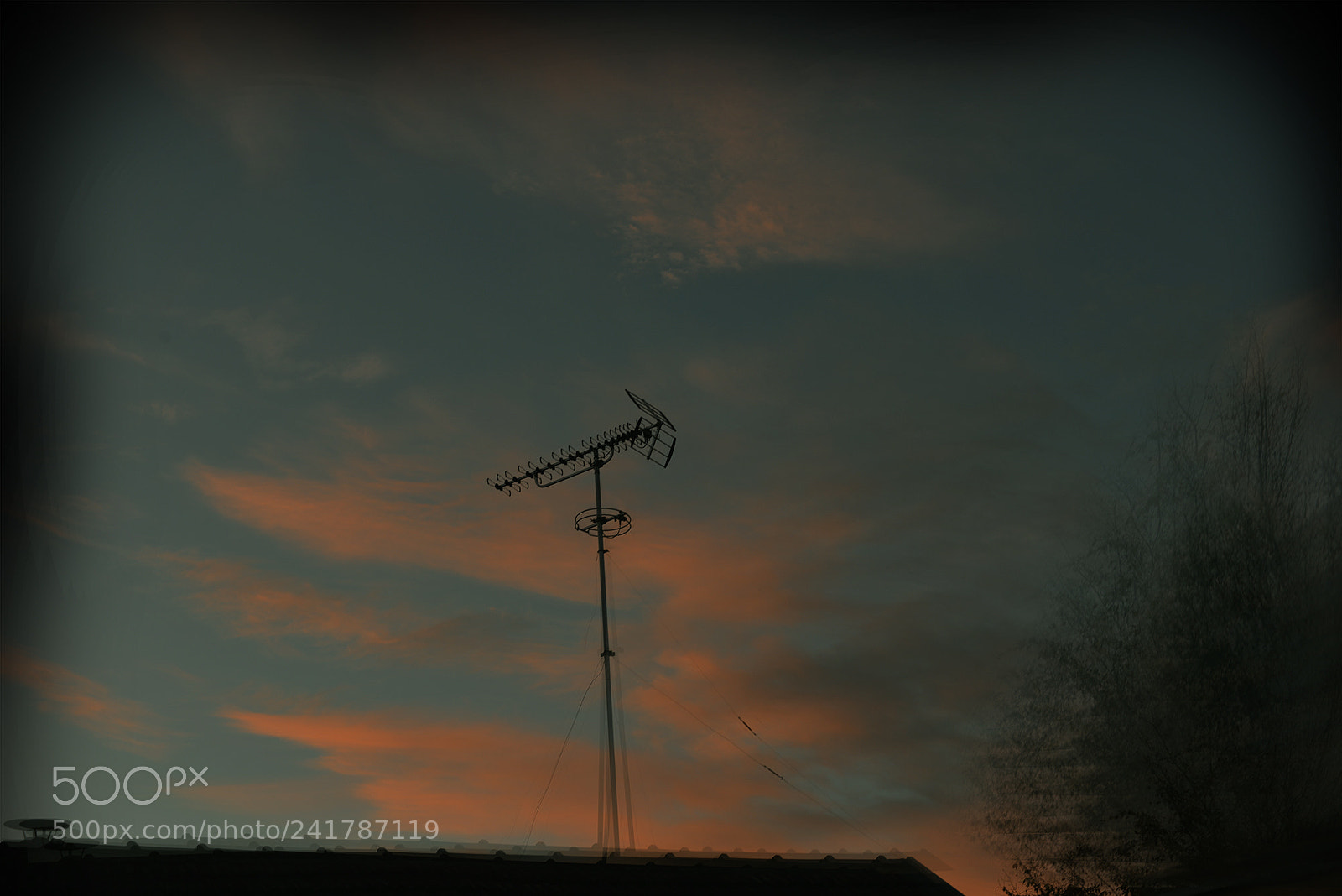 Nikon D800 sample photo. Sur le toit une photography