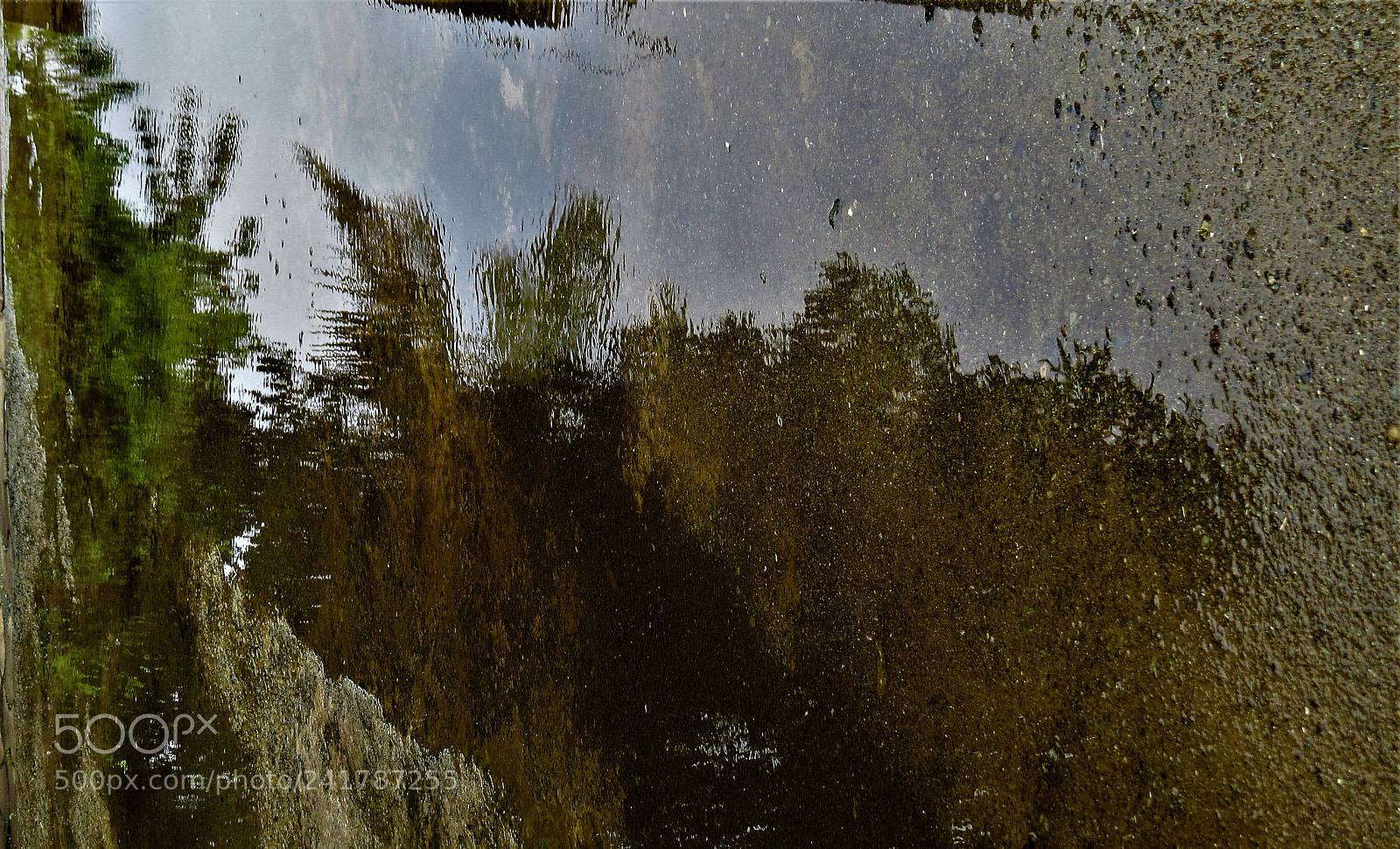 Canon PowerShot SX50 HS sample photo. Abstract photography